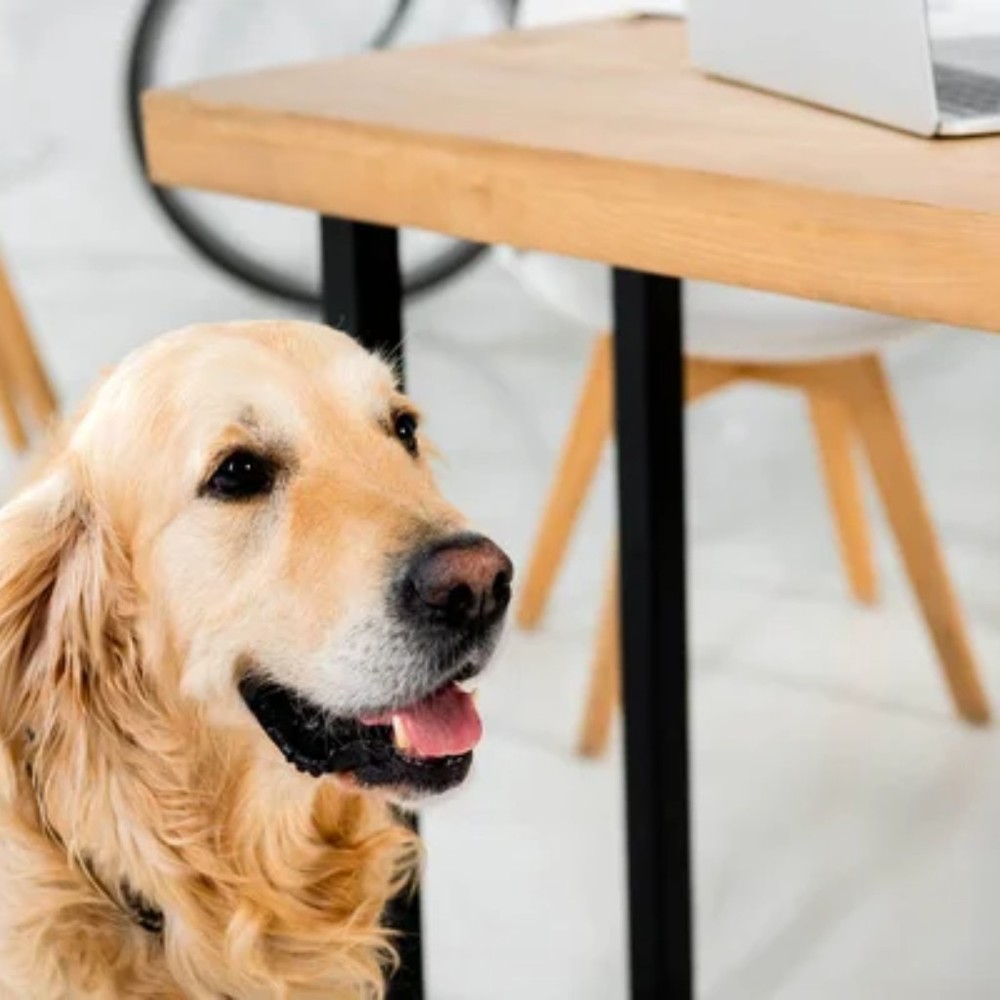 Meet your Posher, Osbey